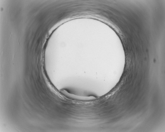 X0000085281526200704092153