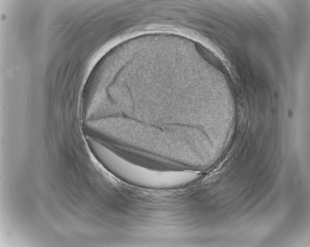 X0000085281527200704092153