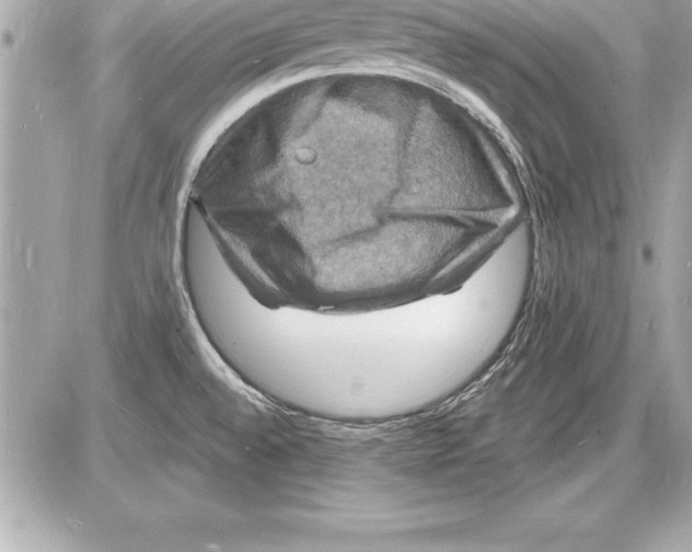 X0000085281528200704092153