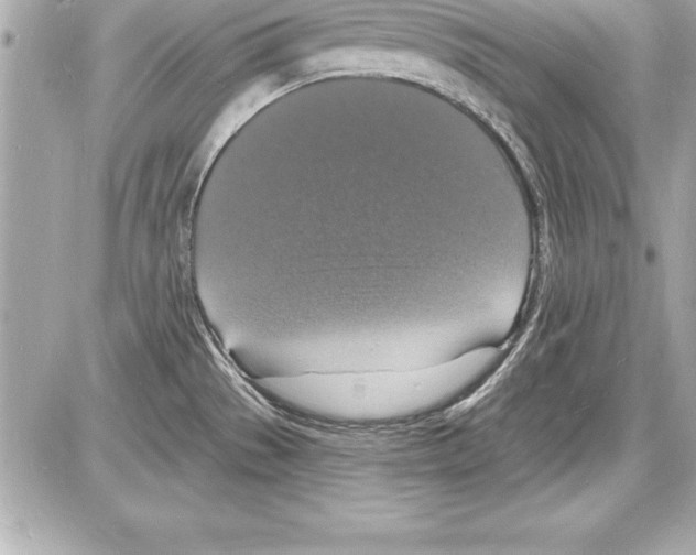 X0000085281529200704092153