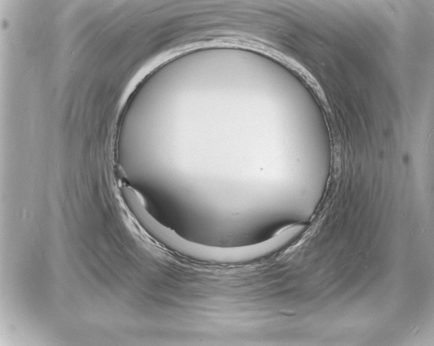 X0000085281530200704092153