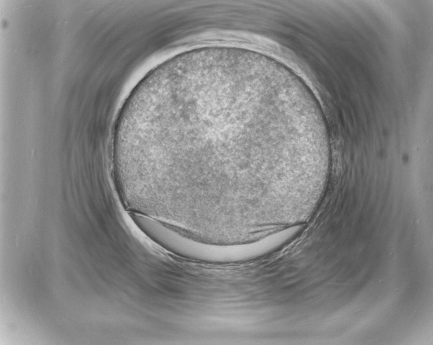 X0000085281531200704092153