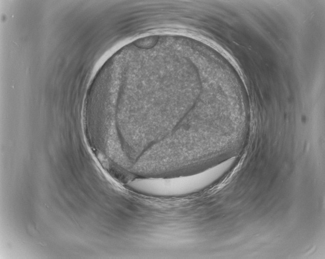 X0000085281533200704092153