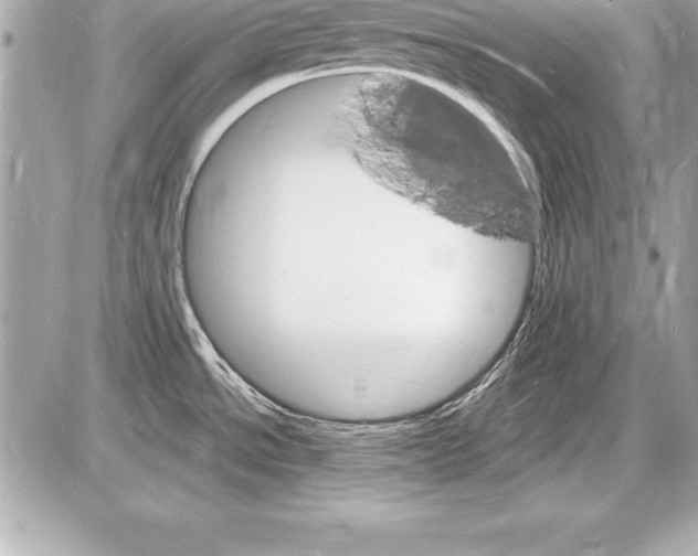 X0000085281534200704092153