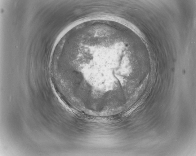 X0000085281536200704092153