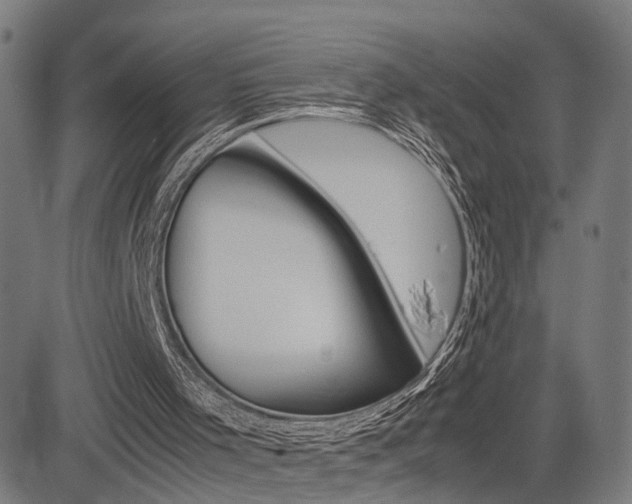 X0000085290001200703091106