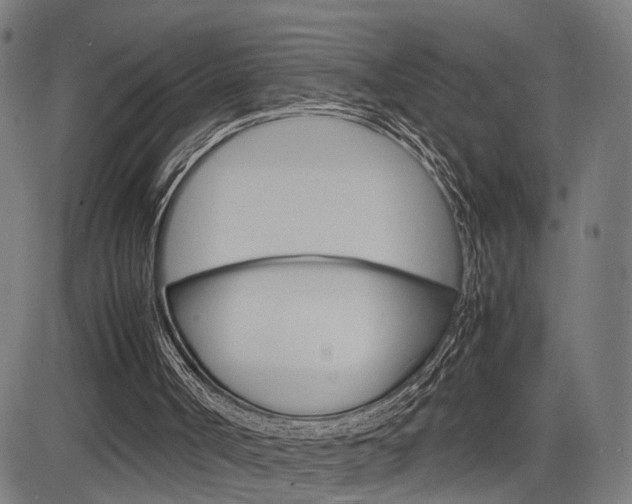 X0000085290002200703091106