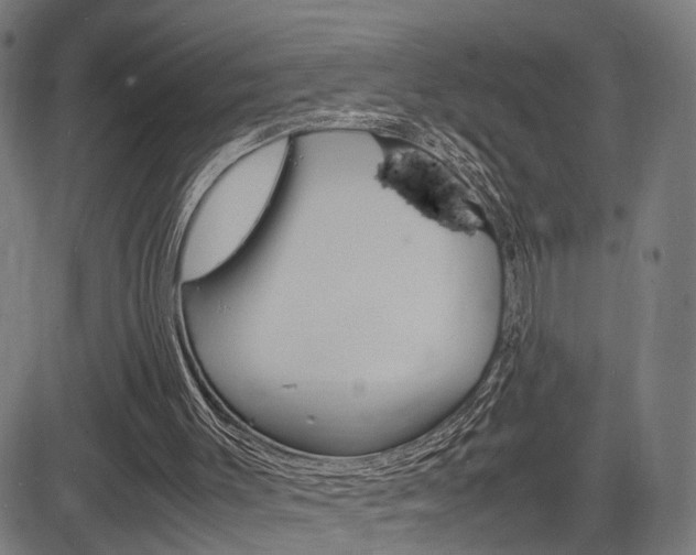 X0000085290003200703091106