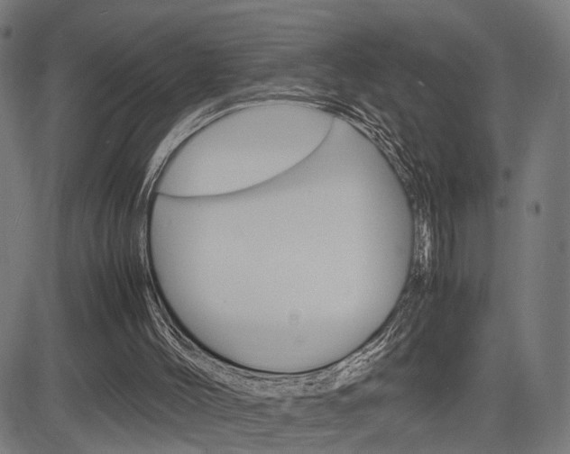 X0000085290004200703091106