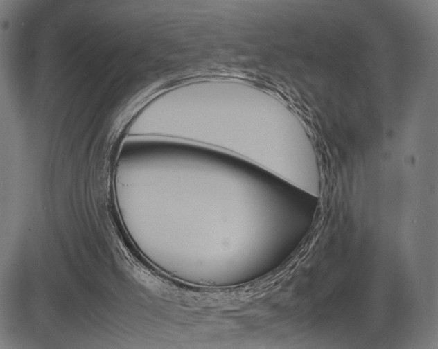 X0000085290005200703091106