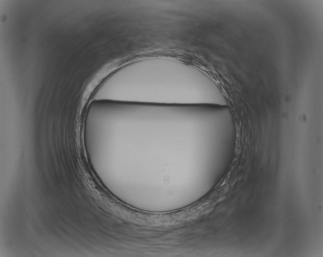 X0000085290006200703091106