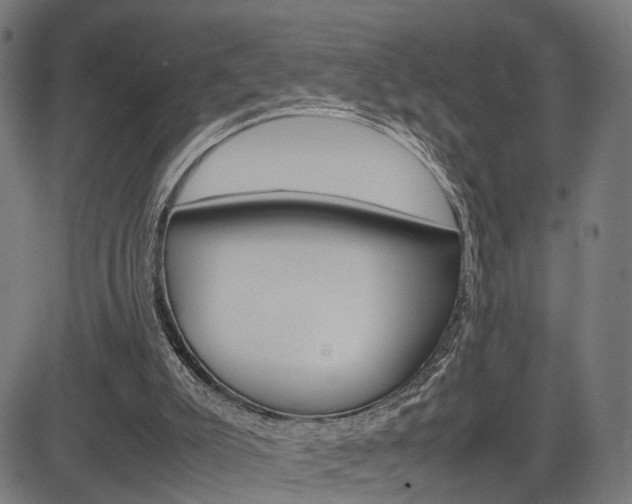 X0000085290007200703091106