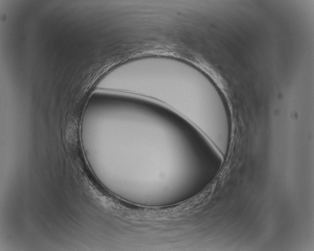 X0000085290009200703091106