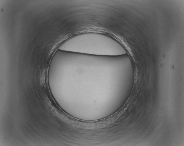 X0000085290010200703091106