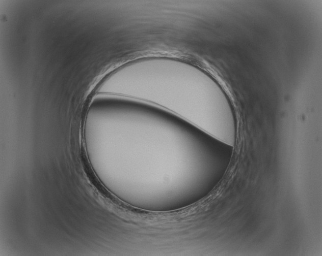 X0000085290011200703091106