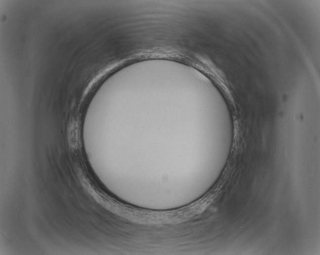 X0000085290012200703091106