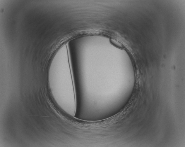 X0000085290013200703091106