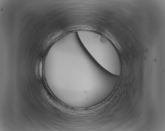 X0000085290014200703091106