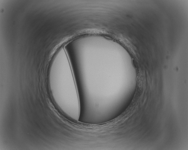 X0000085290015200703091106