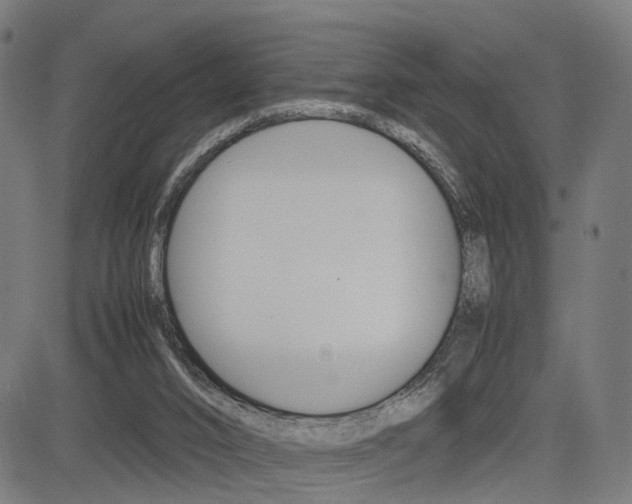 X0000085290016200703091106