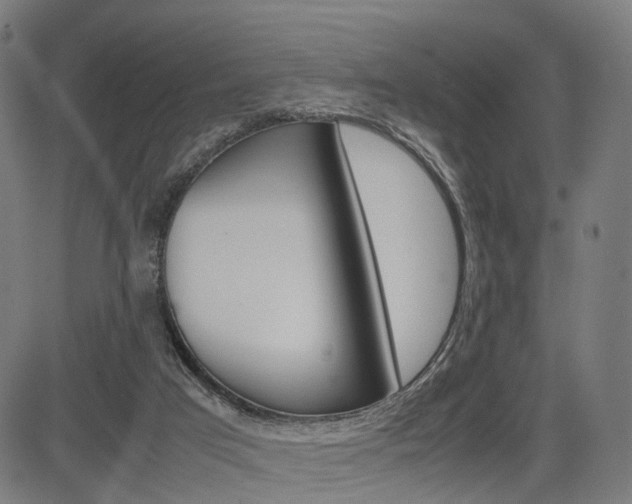 X0000085290017200703091106