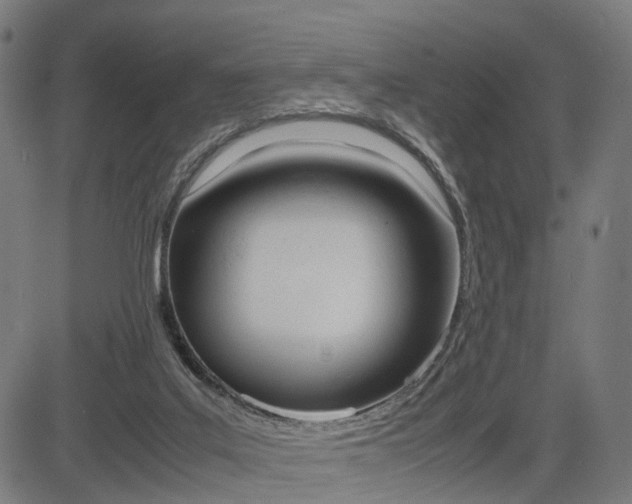 X0000085290019200703091106