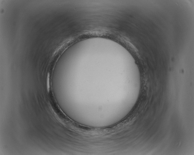 X0000085290020200703091106