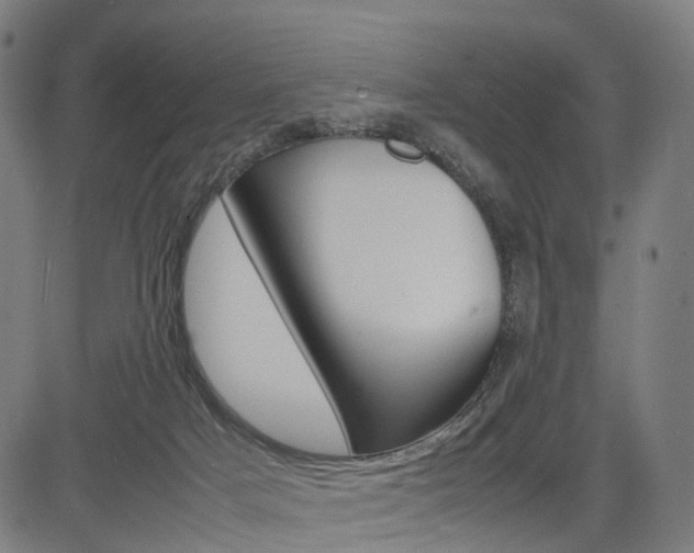 X0000085290025200703091105