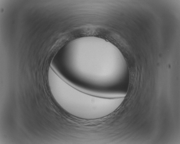 X0000085290035200703091105