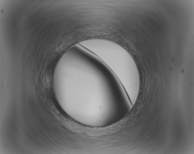 X0000085290039200703091105