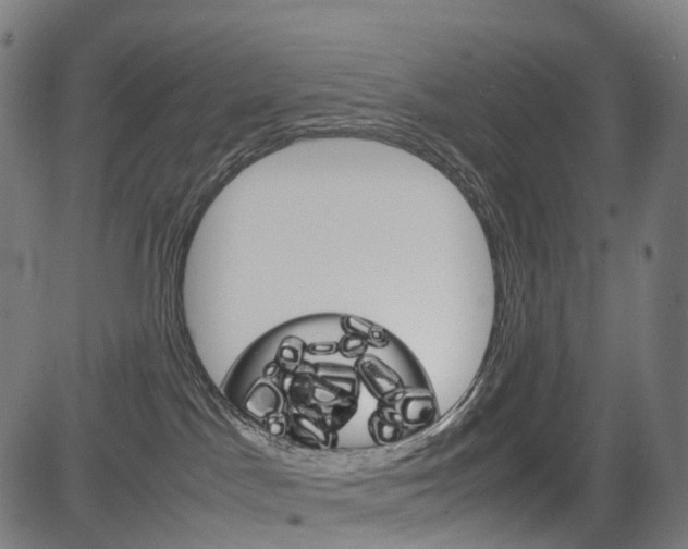 X0000085290045200703091105