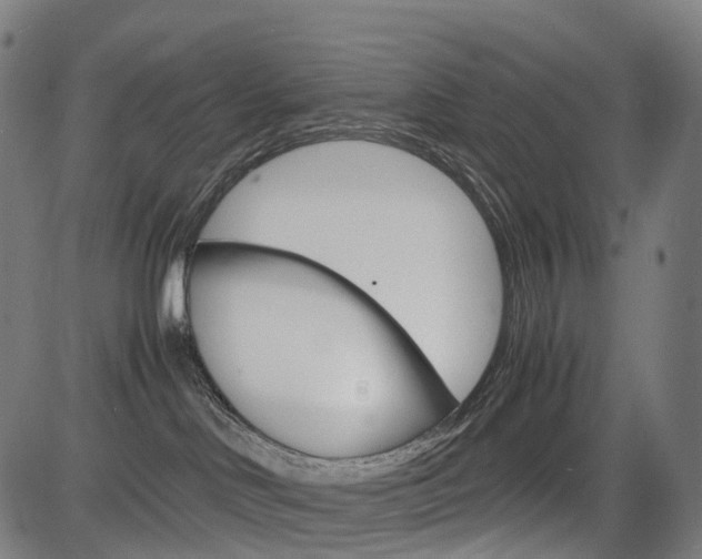 X0000085290046200703091105