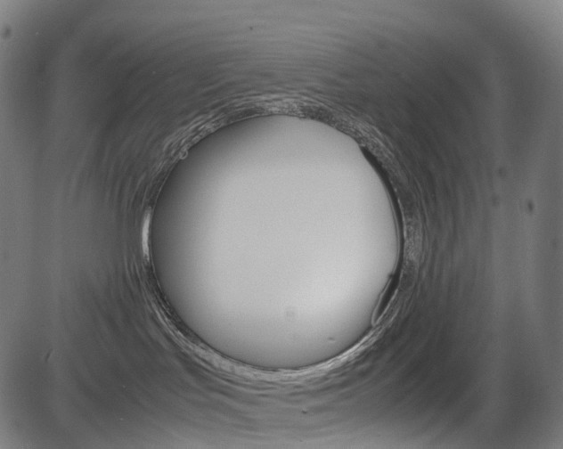 X0000085290047200703091105