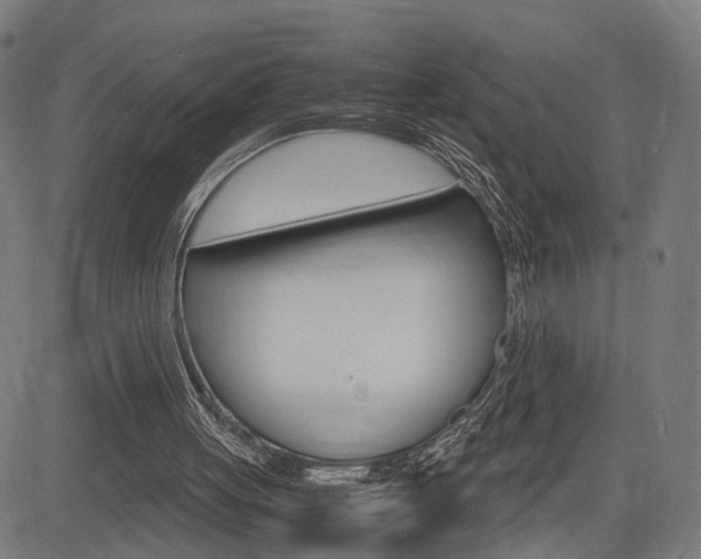 X0000085290051200703091104
