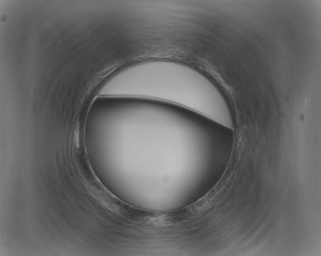 X0000085290068200703091105