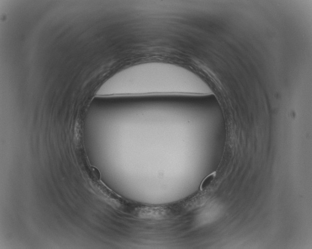 X0000085290077200703091105