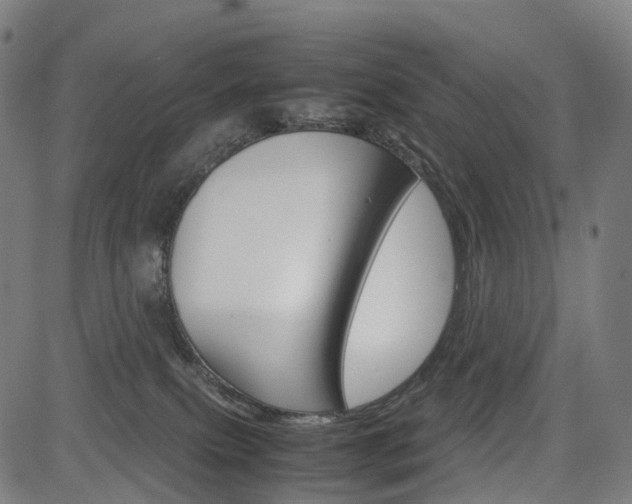 X0000085290087200703091105