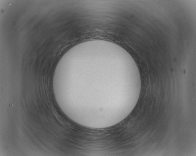 X0000085290088200703091105