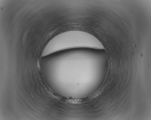 X0000085290089200703091105