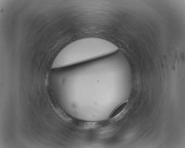 X0000085290090200703091105