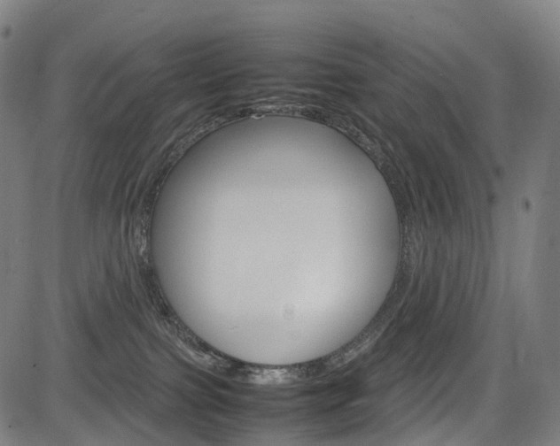 X0000085290091200703091105