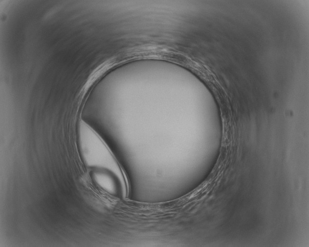 X0000085290099200703091104