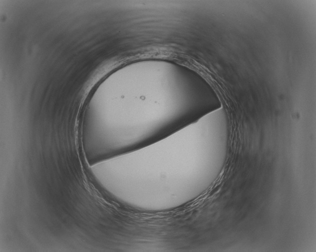 X0000085290100200703091104