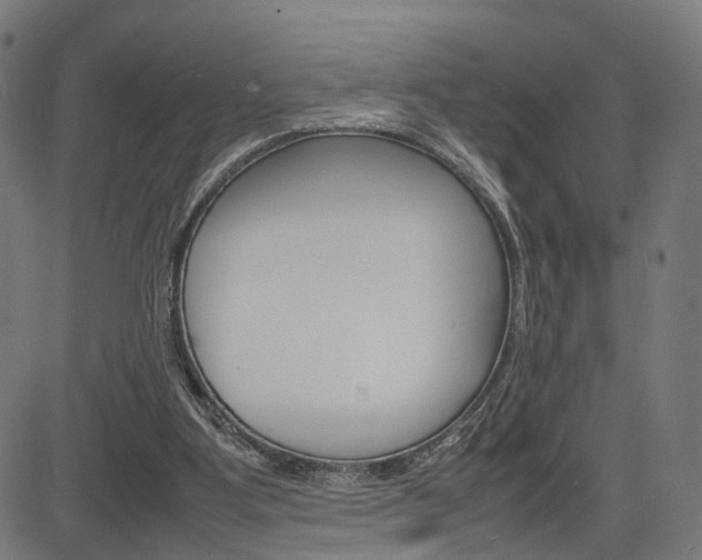 X0000085290107200703091104