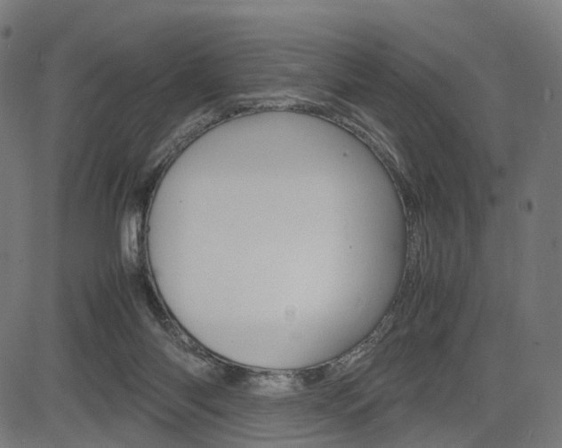 X0000085290118200703091104