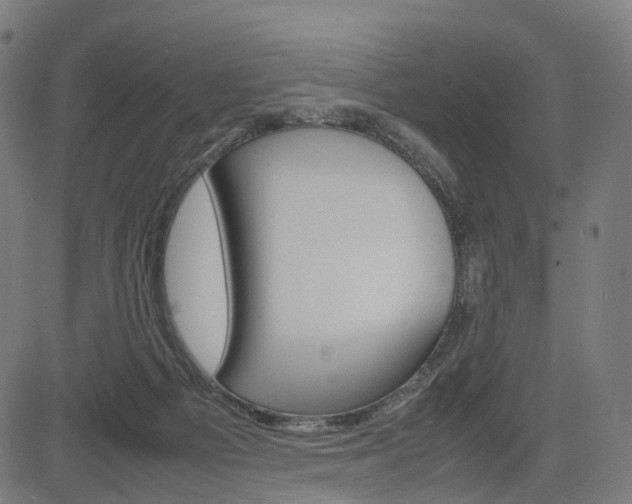 X0000085290121200703091104