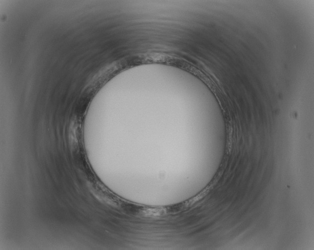X0000085290126200703091104