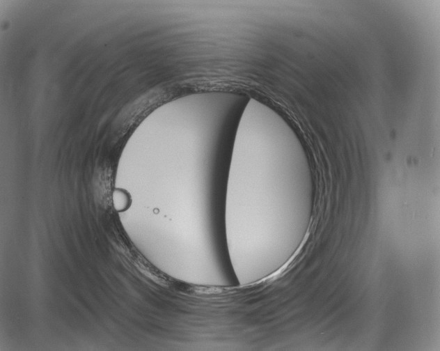 X0000085290144200703091103