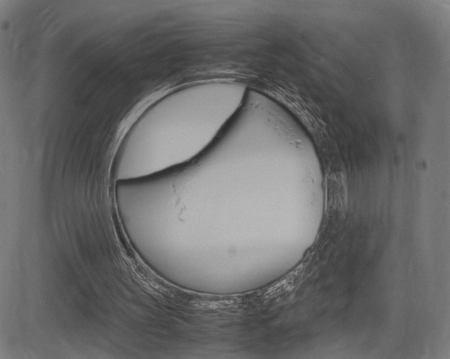 X0000085290147200703091103