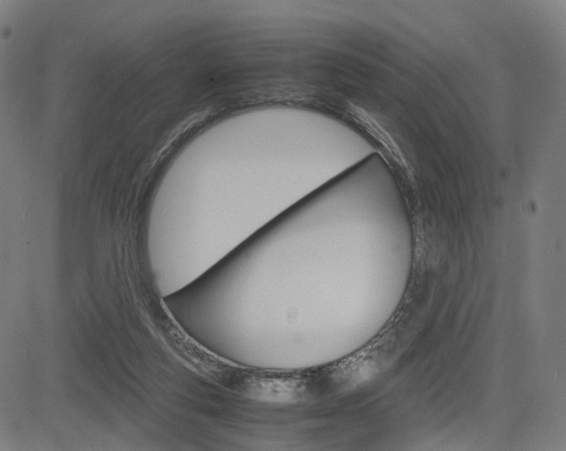 X0000085290163200703091103